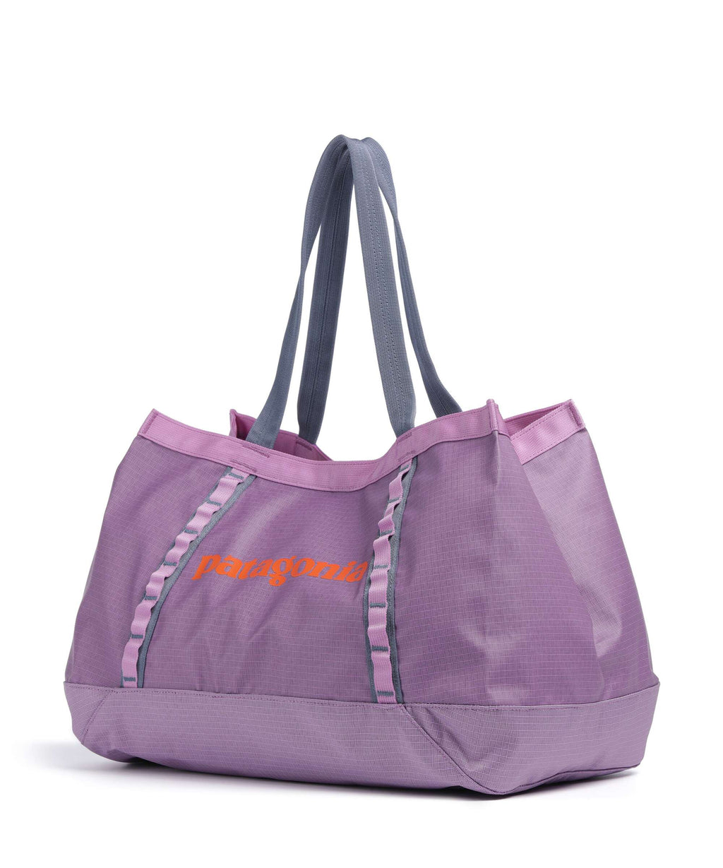 Patagonia Black Hole 25 Tote bag brisk purple