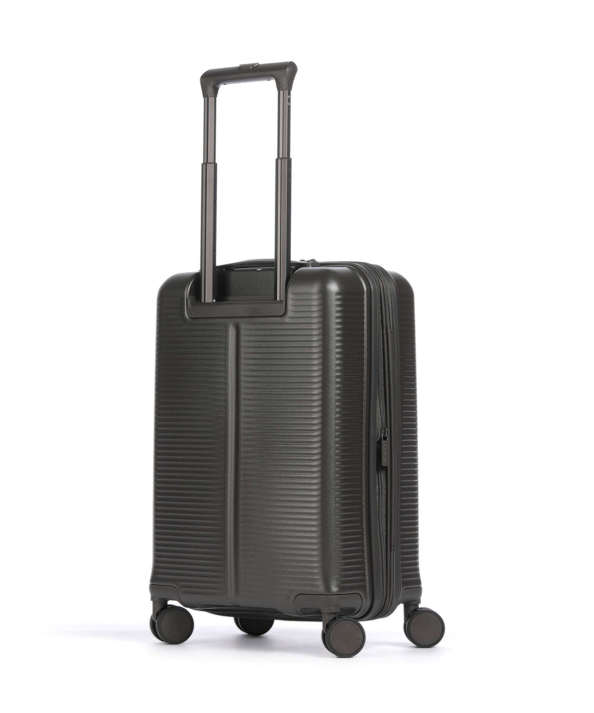 Jump Hendaye Spinner (4 wheels) mocha