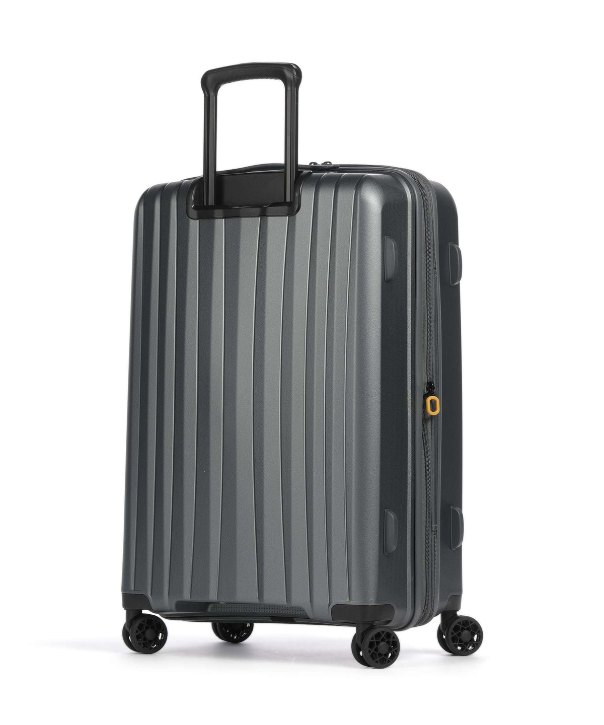 Jump Enais Spinner (4 wheels) anthracite