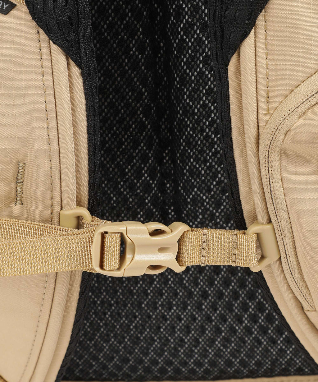 Gregory Rhune 25 Backpack sand storm