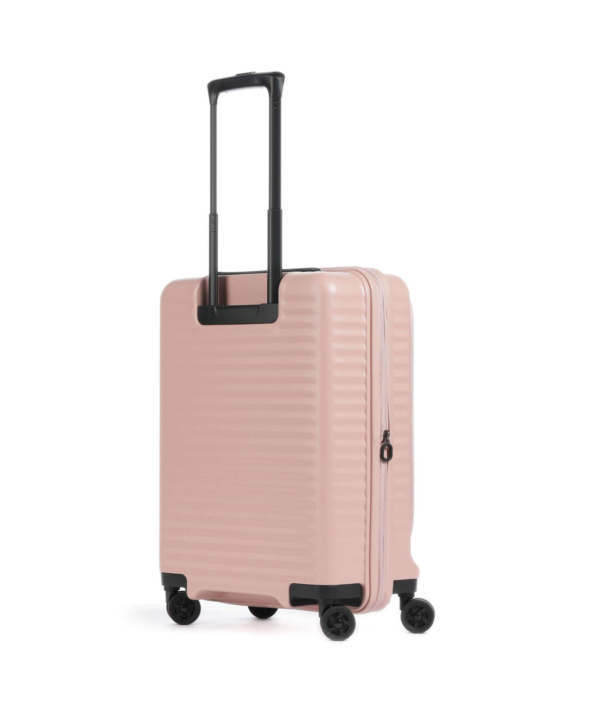 Echolac Celestra FA S Spinner (4 wheels) pink