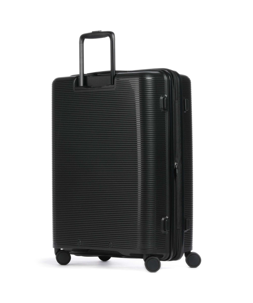 Echolac Forza M Spinner (4 wheels) black