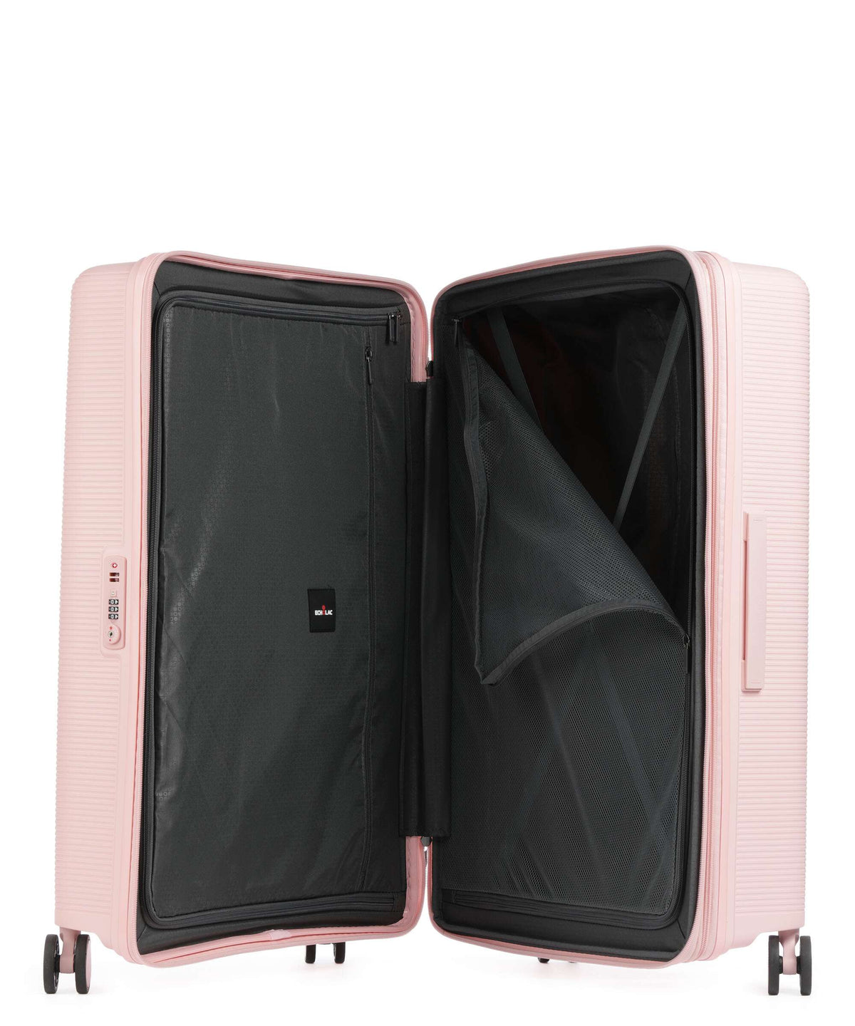Echolac Forza L Spinner (4 wheels) pink