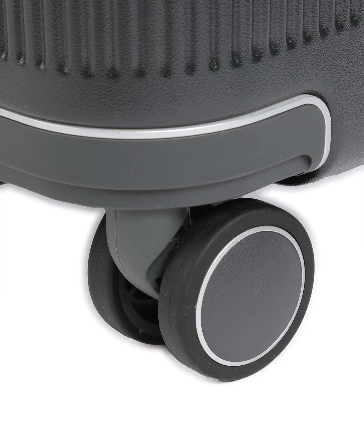 Echolac Dynasty M Spinner (4 wheels) dark grey