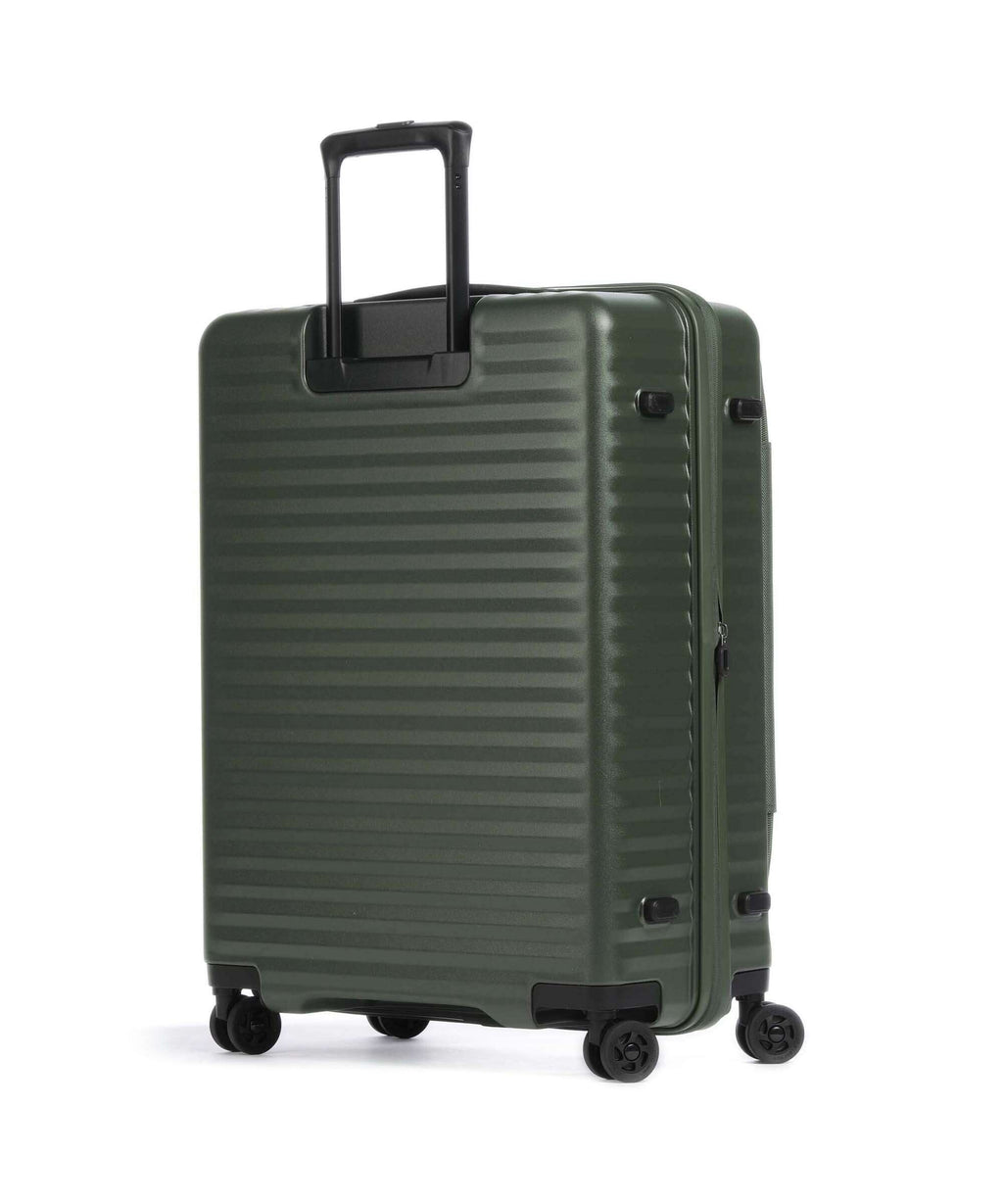 Echolac Celestra FA M Spinner (4 wheels) moss green