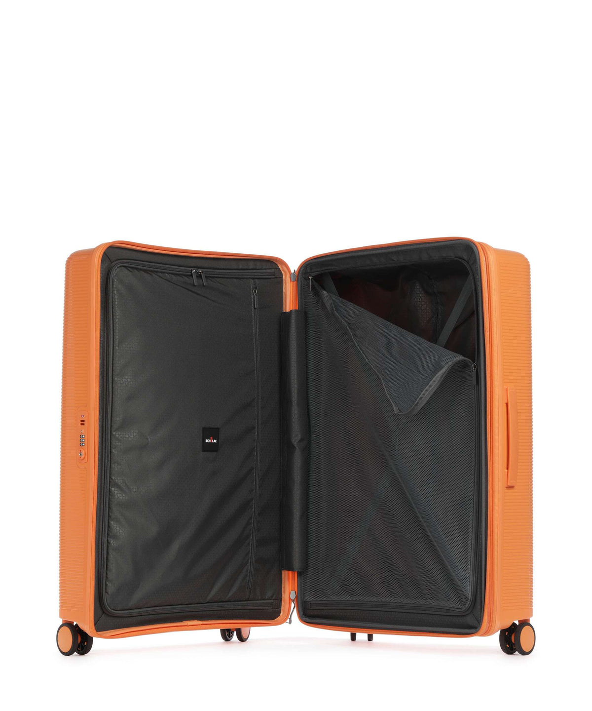 Echolac Forza L Spinner (4 wheels) apricot crush