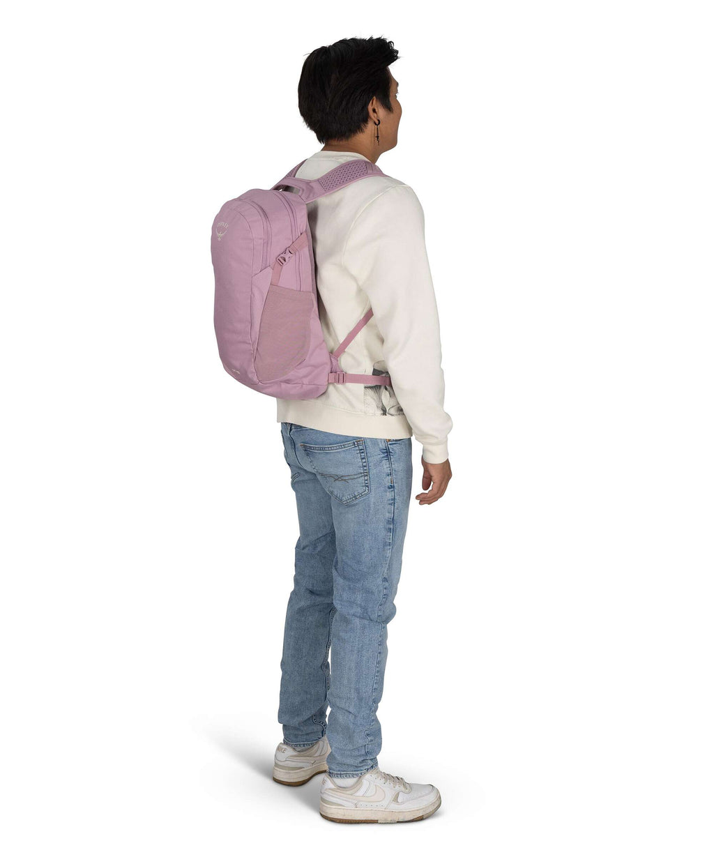 Osprey Daylite Backpack iris pink