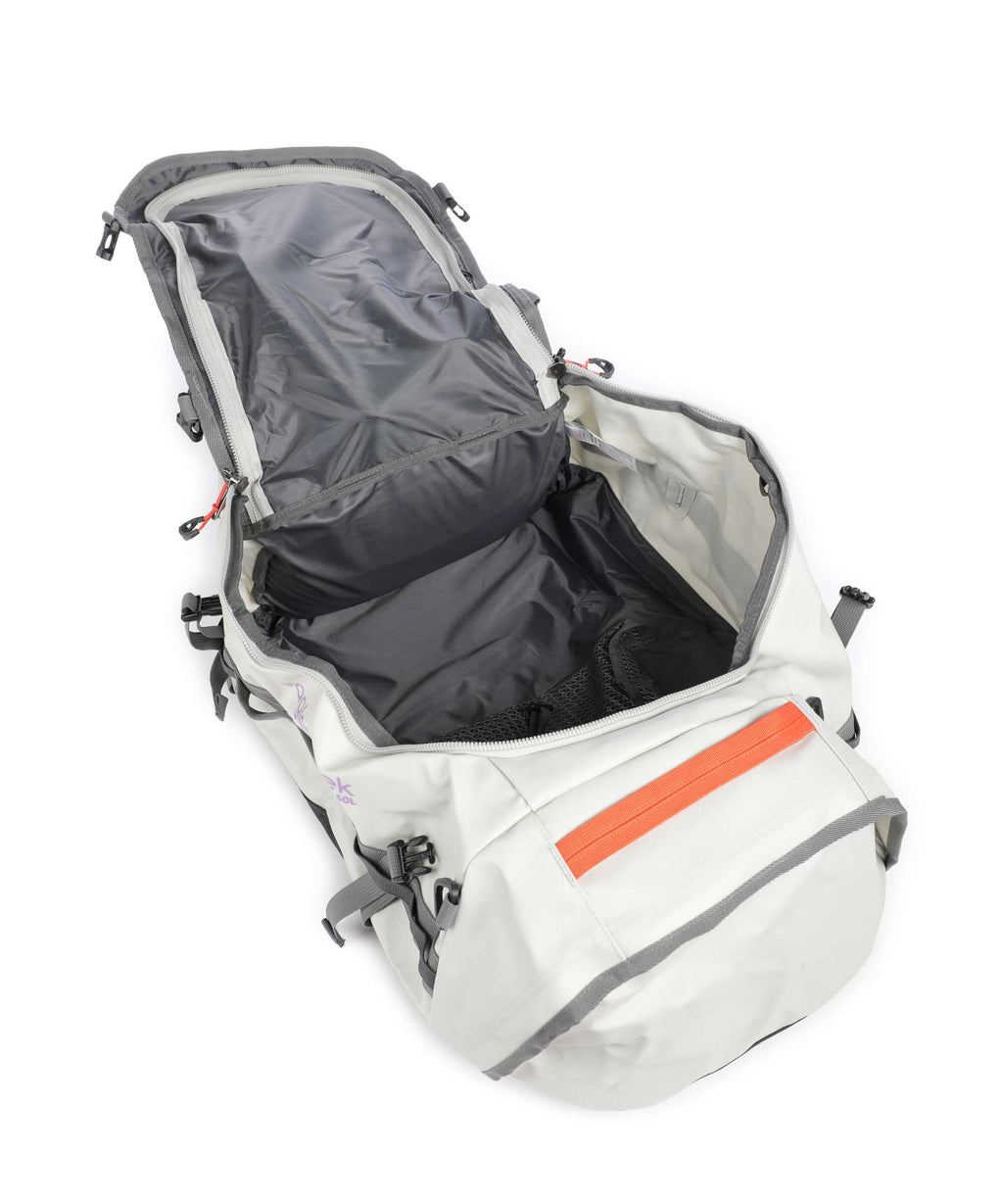 Eagle Creek Cargo Hauler 60 Travel bag silver/rising sun