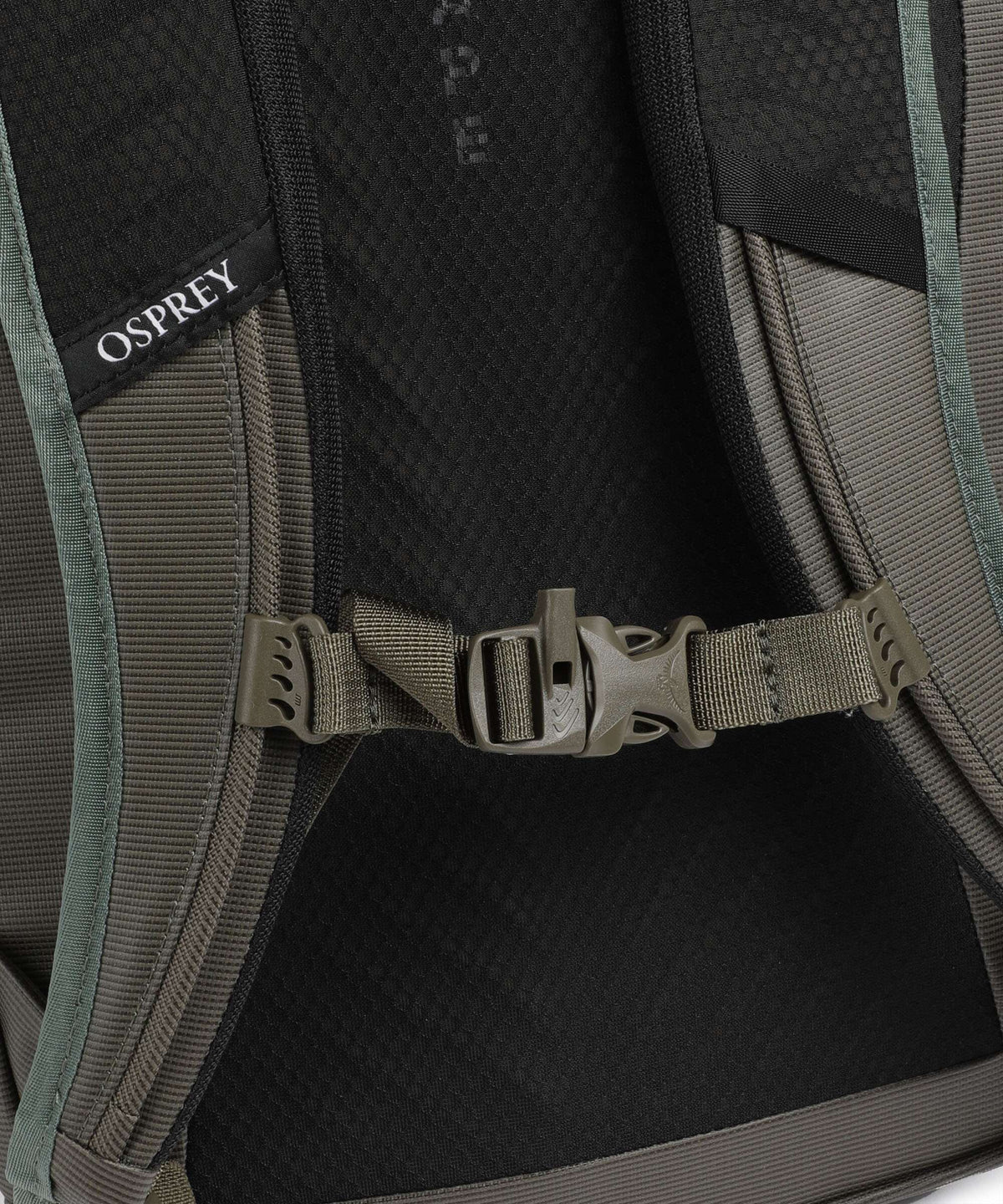 Osprey Transporter Backpack pine leaf/earl grey