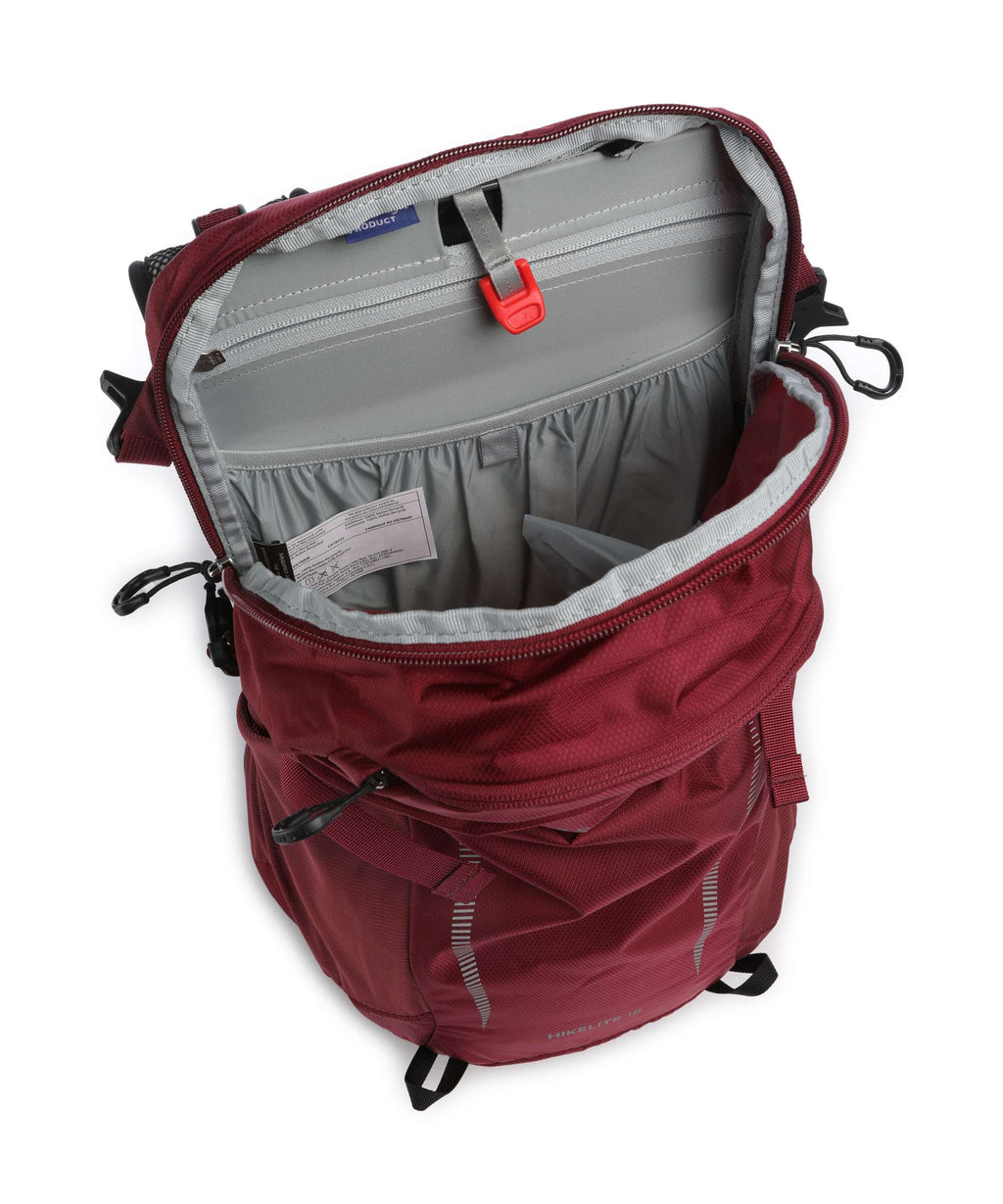 Osprey Hikelite 18 Hiking backpack chameleon/black