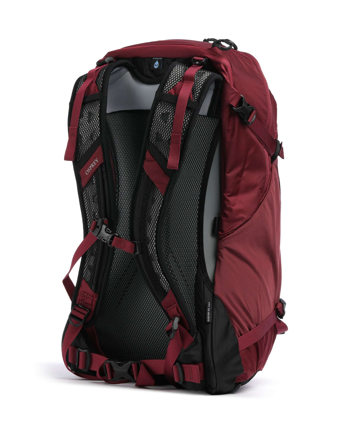 Osprey Hikelite 26 Hiking backpack chameleon/black